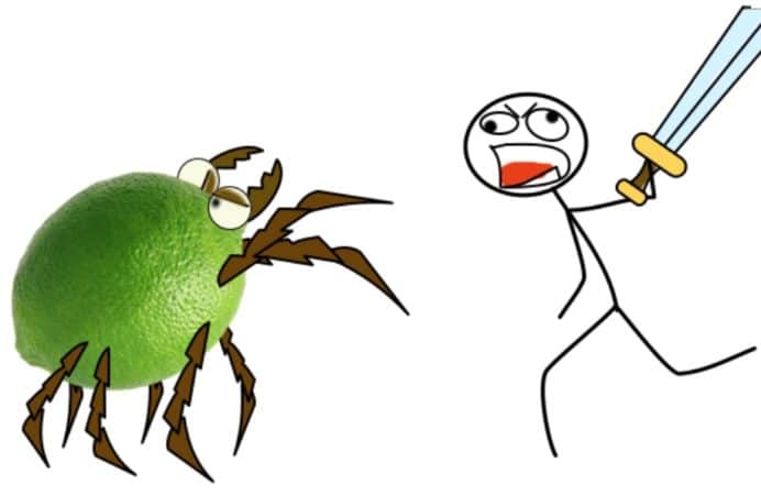 lyme-disease-with-lime