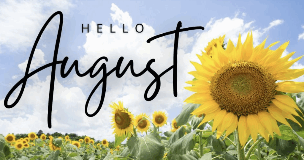 August Promotions Banner August Promotions Banner
